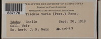 Image Associated With the Occurence